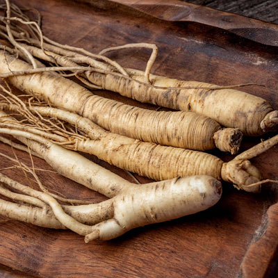 PANAX GINSENG ROOT EXTRACT: